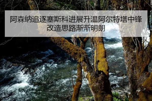 阿森纳追逐塞斯科进展升温阿尔特塔中锋改造思路渐渐明朗