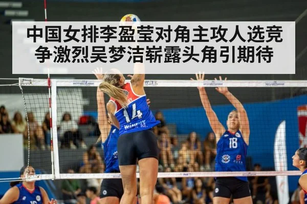 volleyball spike action