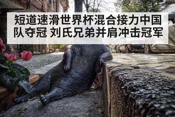 短道速滑世界杯混合接力中国队夺冠 刘氏兄弟并肩冲击冠军